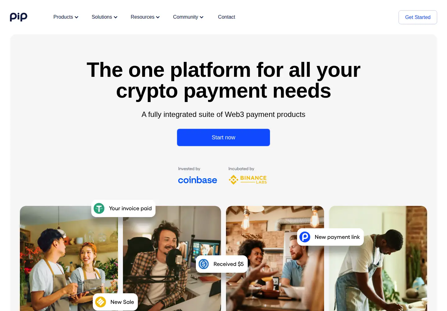 Captured homepage of getpip.com in the current scan