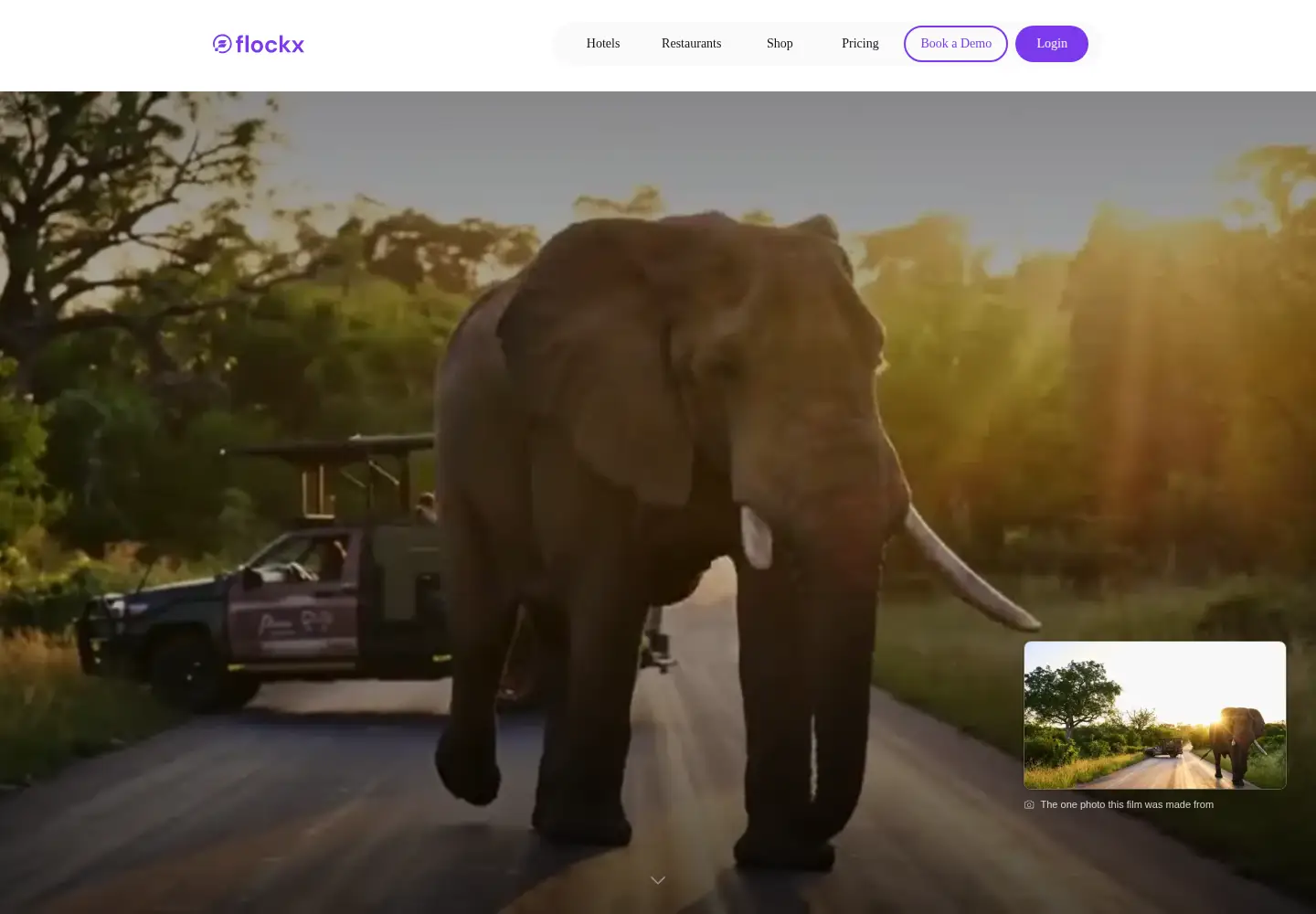 Captured homepage of flockx.io in the current scan