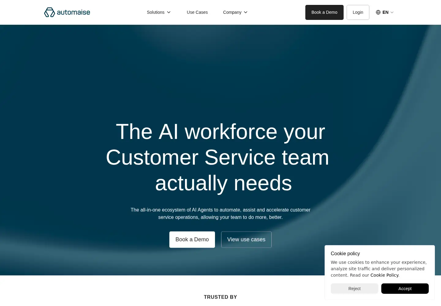 Captured homepage of automaise.com in the current scan