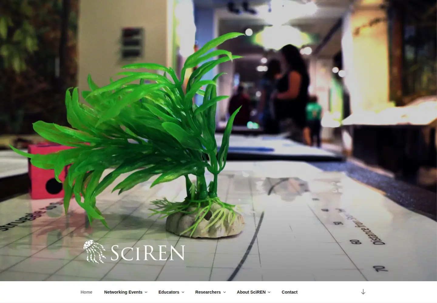 Captured homepage of sciren.org in the current scan