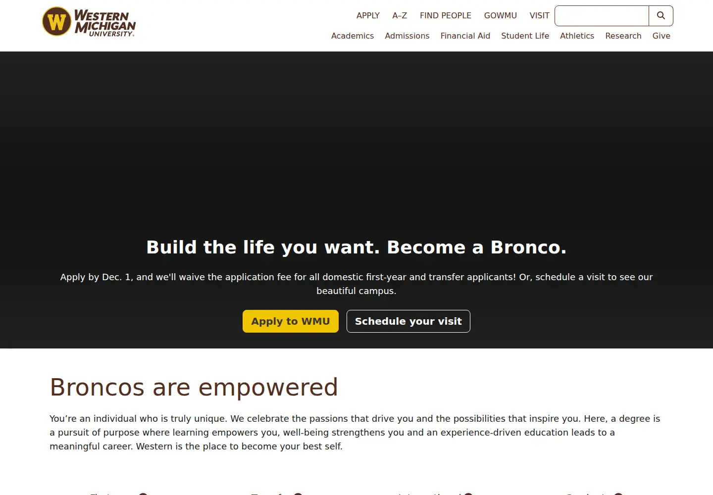 Screenshot of wmich.edu