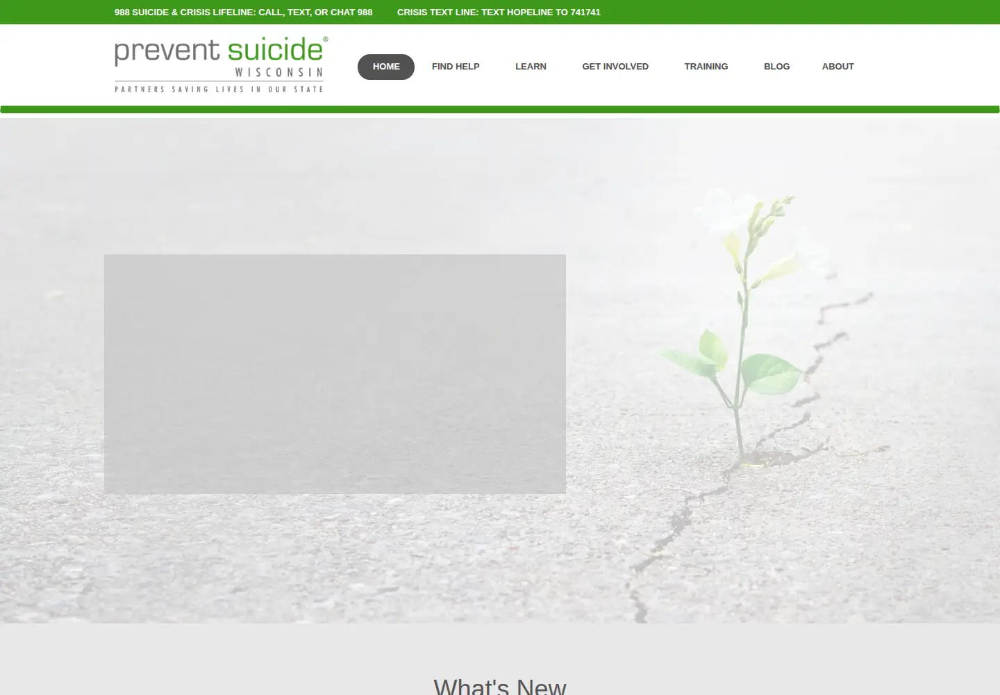 Captured homepage of preventsuicidewi.org in the current scan