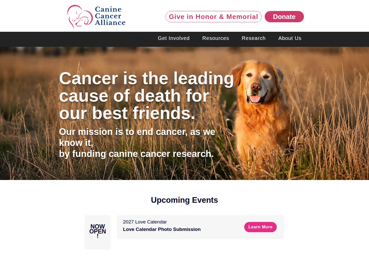 Screenshot of ccralliance.org