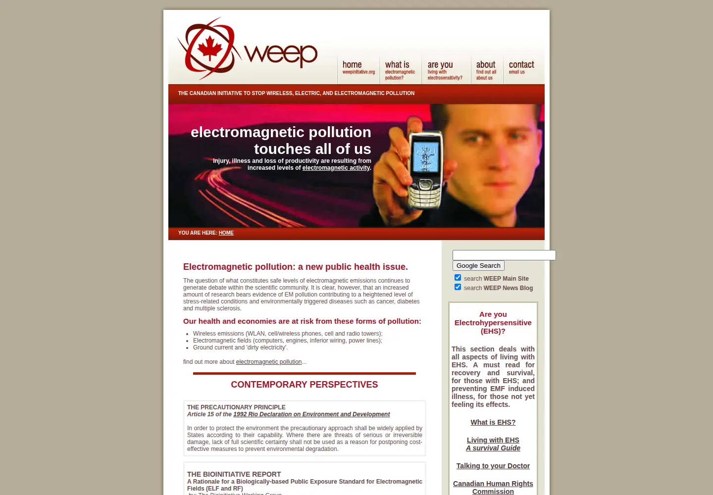Captured homepage of weepinitiative.org in the current scan