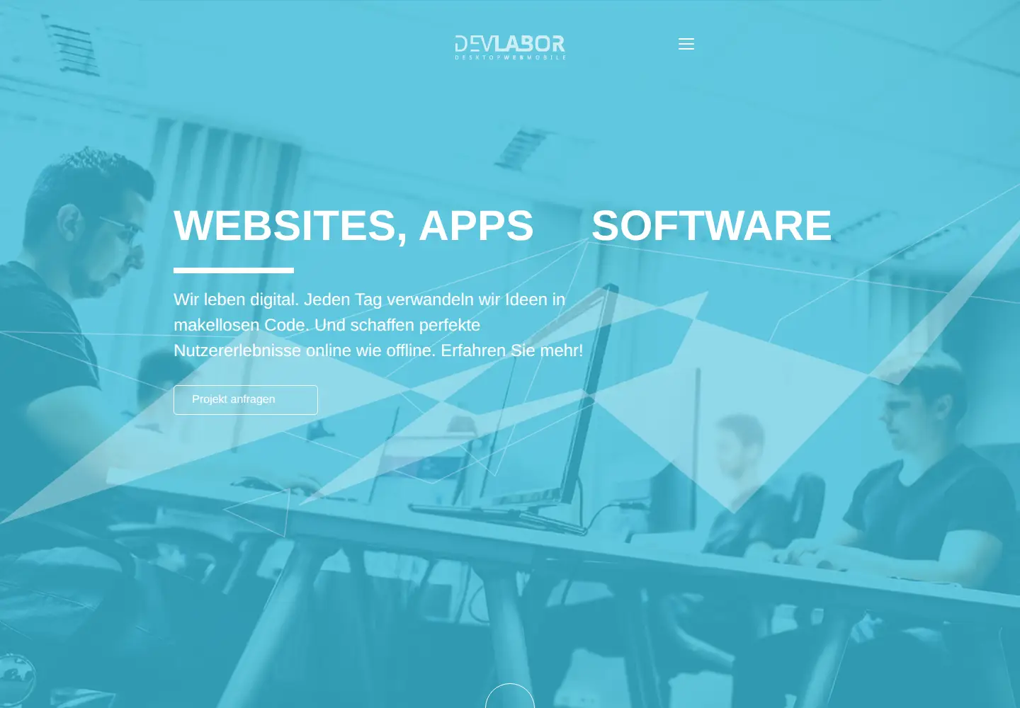 Screenshot of devlabor.com