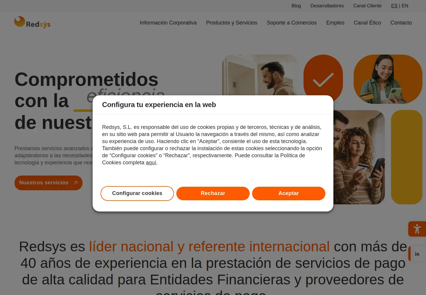 Screenshot of redsys.es