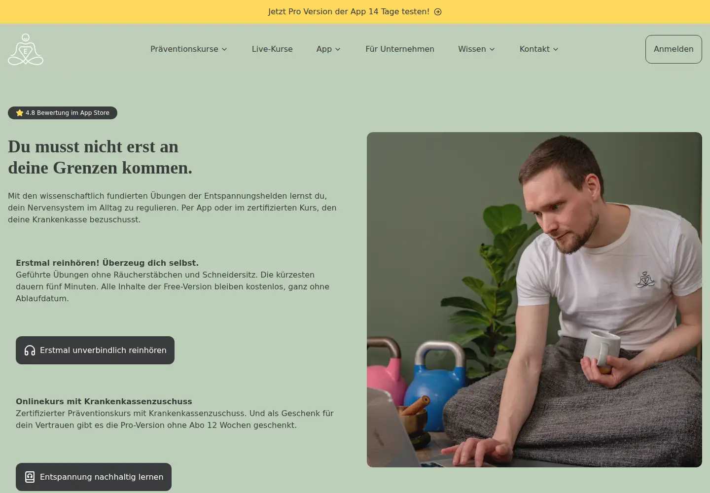 Screenshot of entspannungshelden.de