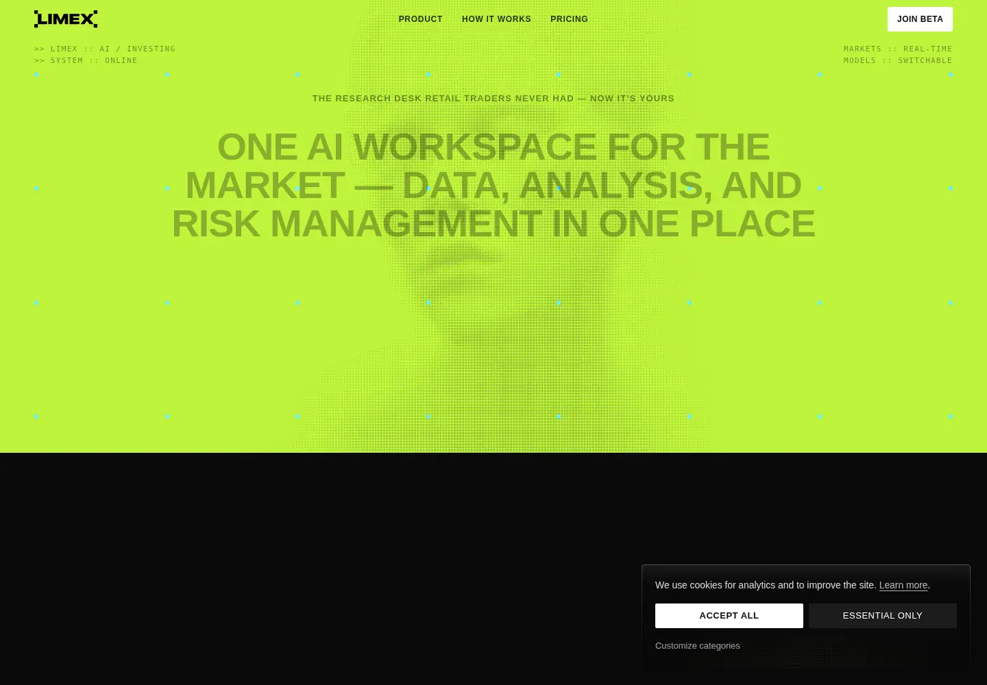 Captured homepage of limex.com in the current scan