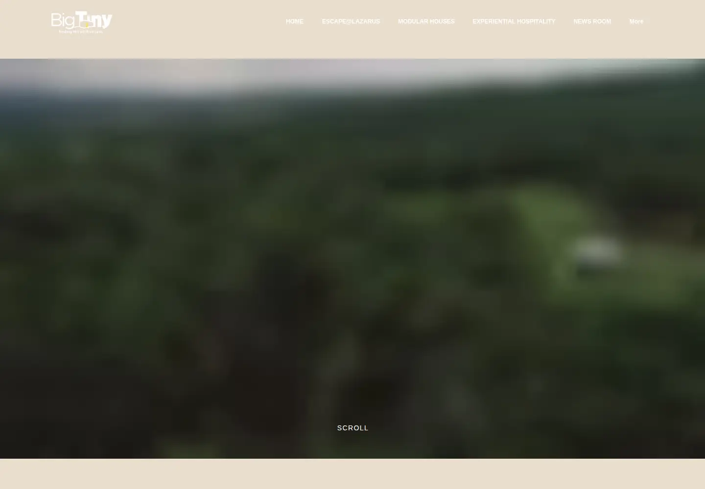 Captured homepage of bigtiny.com.sg in the current scan