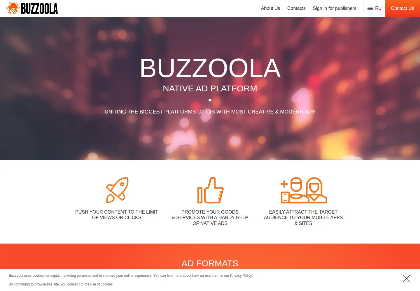 Captured homepage of buzzoola.com in the current scan