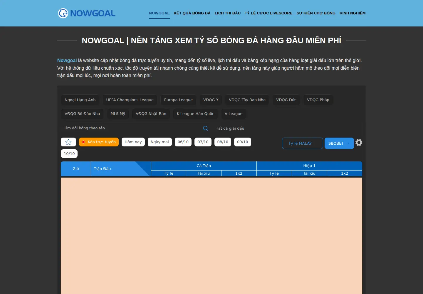 Screenshot of nowgoal.loans