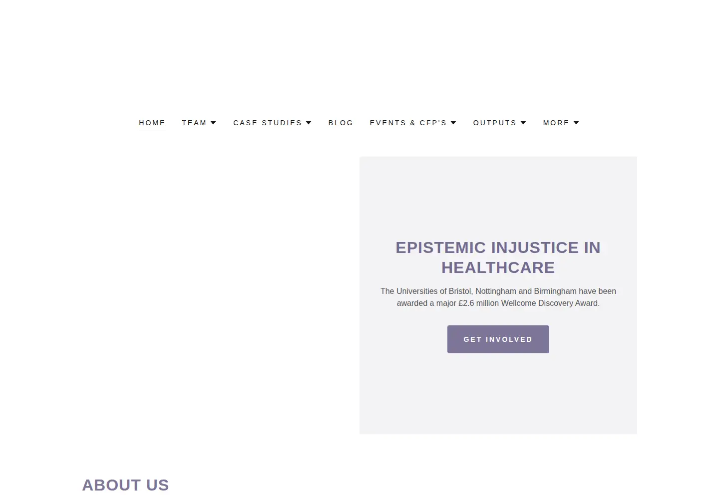 Screenshot of epistemicinjusticeinhealthcare.org