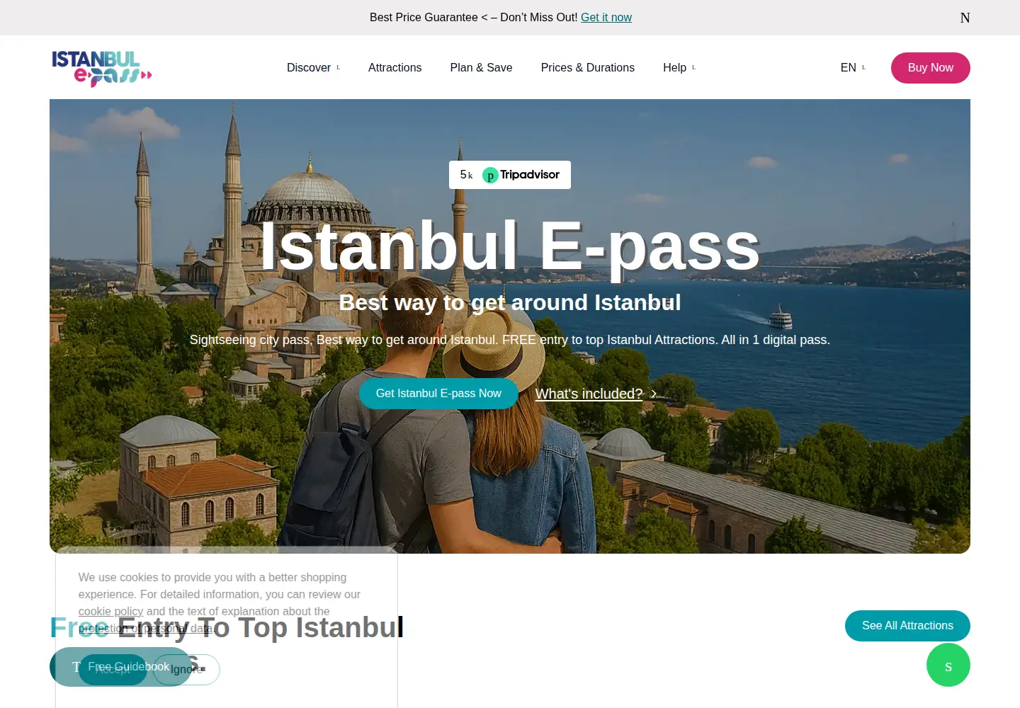 Captured homepage of istanbulepass.com in the current scan