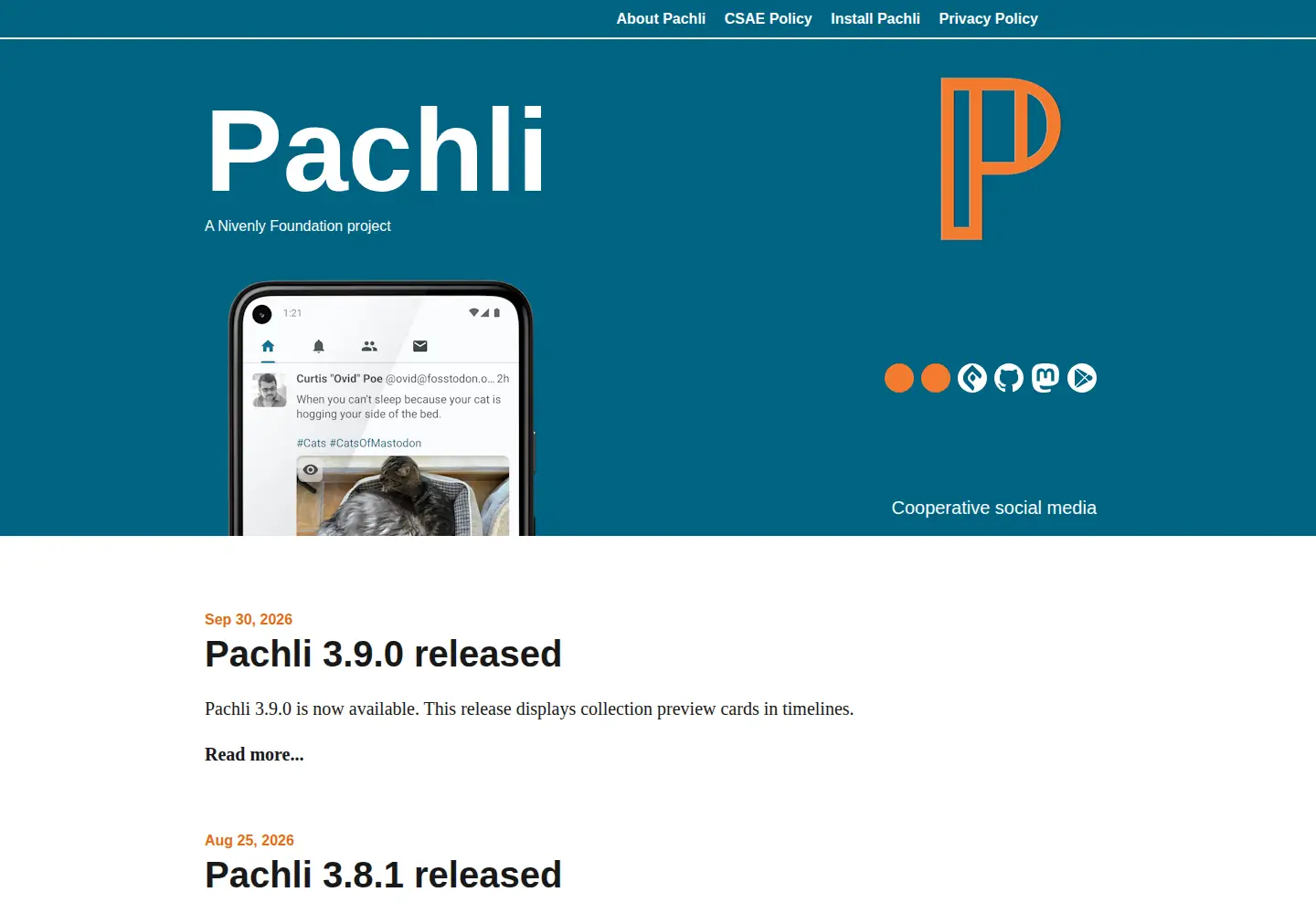 Screenshot of pachli.app
