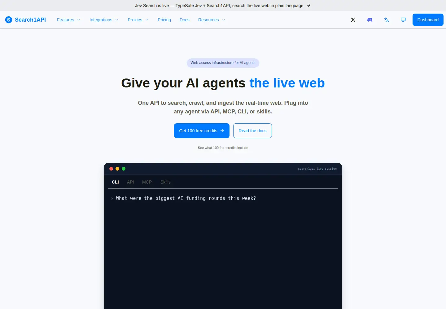 Captured homepage of search1api.com in the current scan
