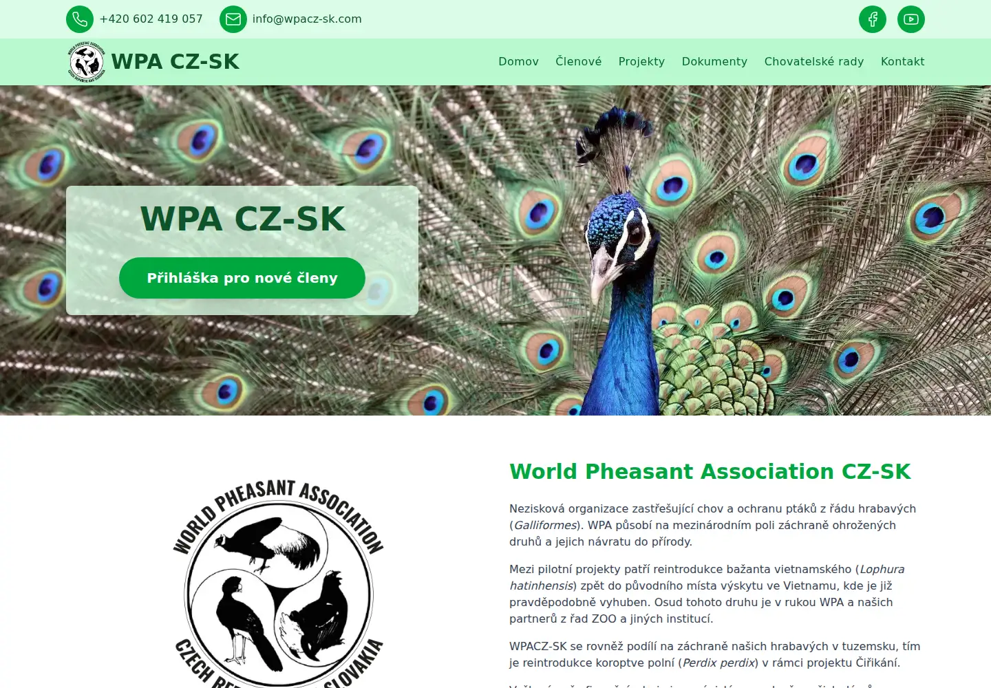 Screenshot of wpacz-sk.com