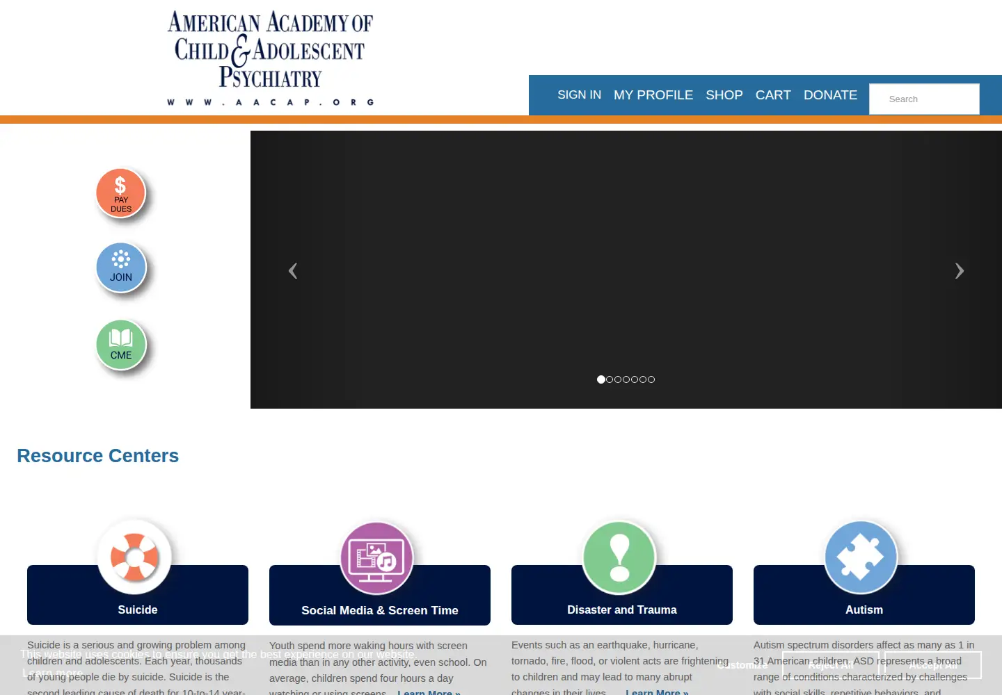 Screenshot of aacap.org