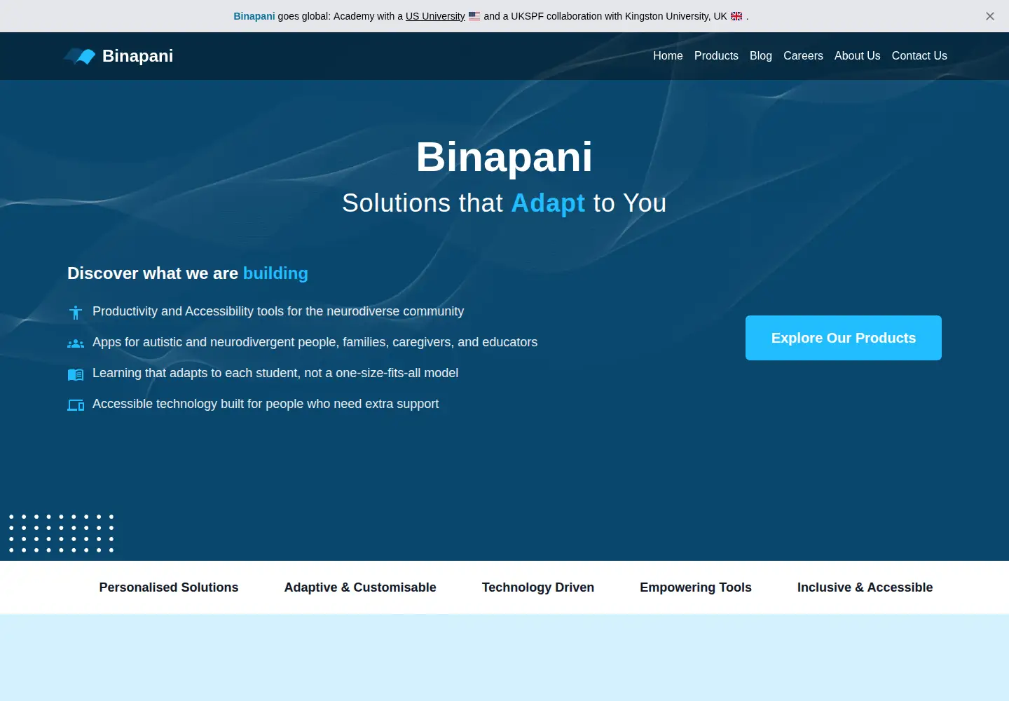 Screenshot of binapani.com