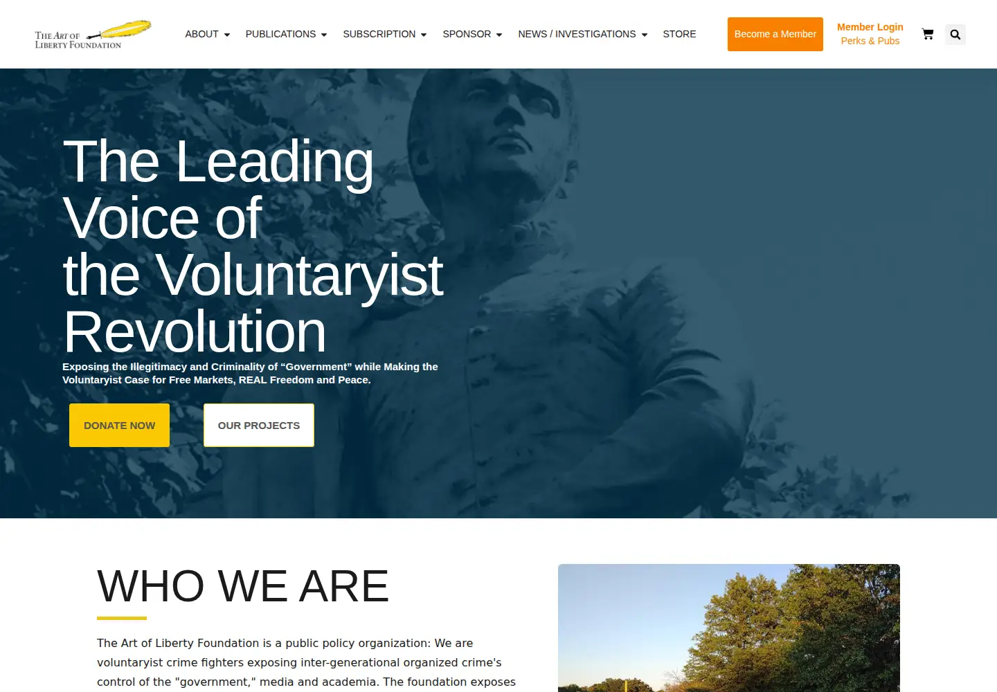 Screenshot of artofliberty.org