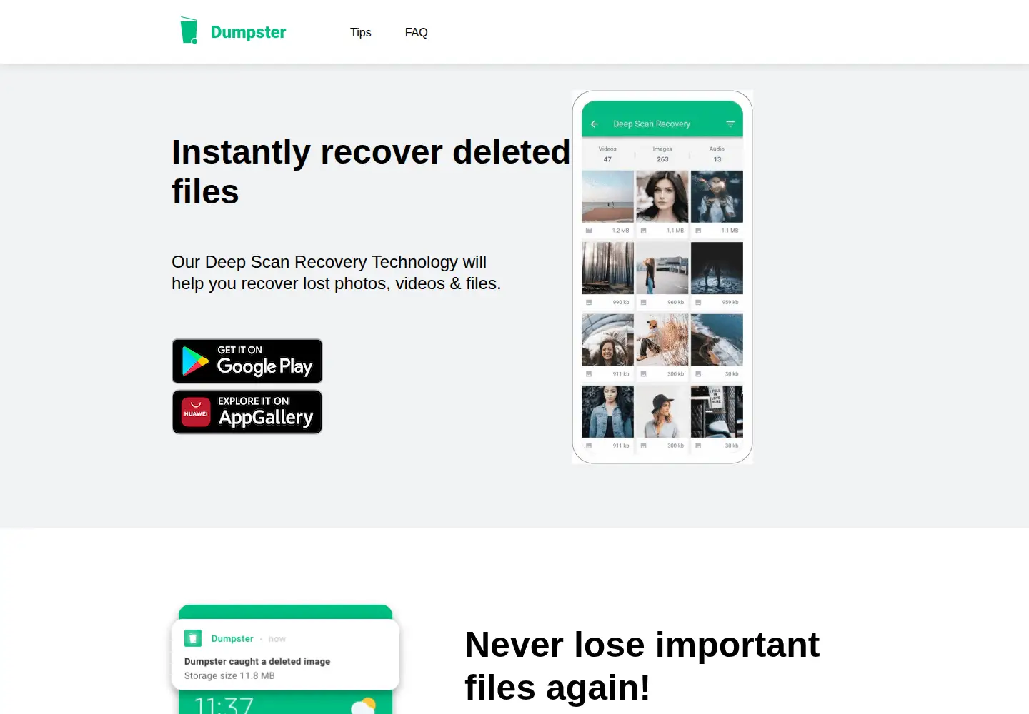 Screenshot of dumpsterapp.mobi
