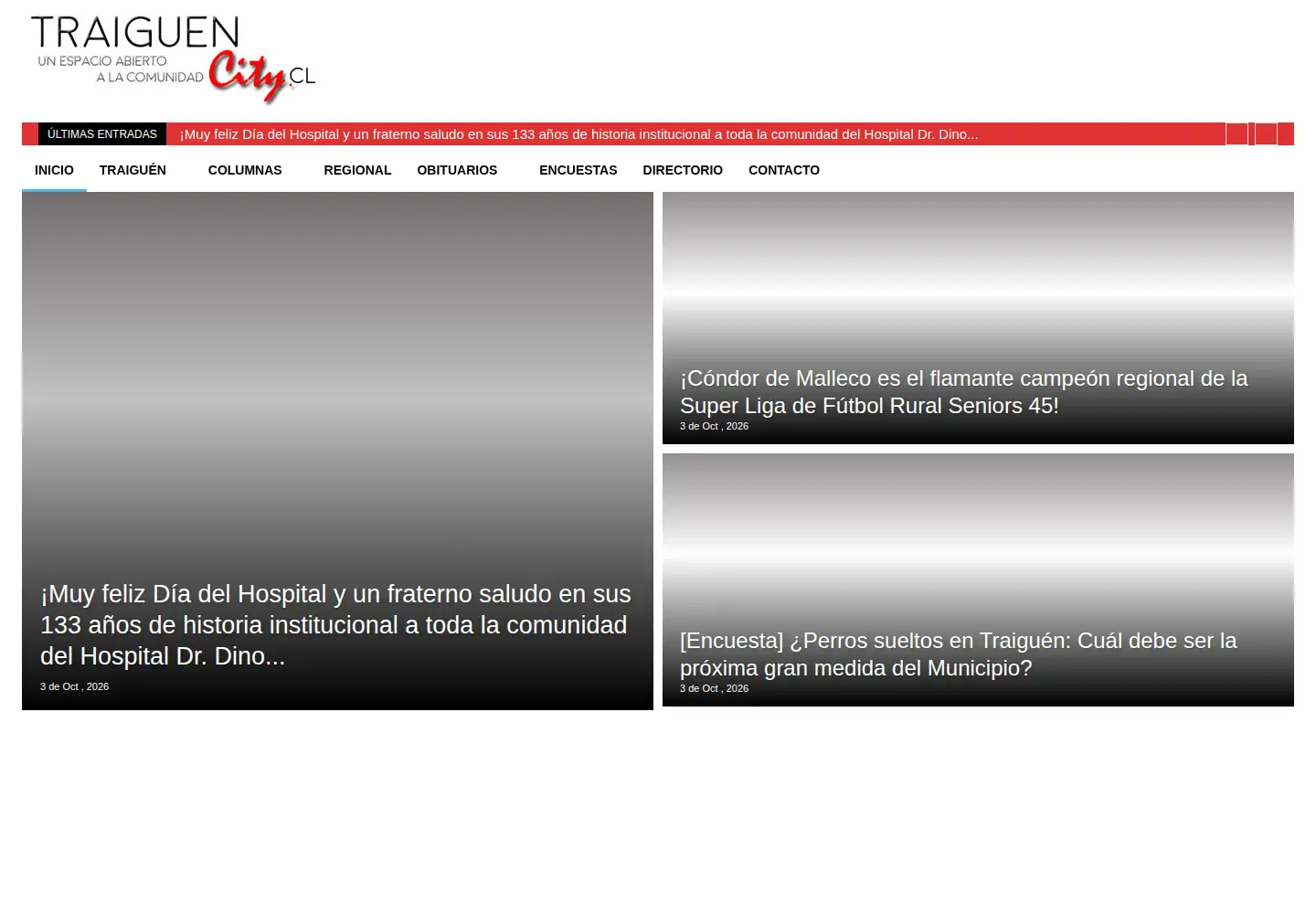 Screenshot of traiguencity.cl
