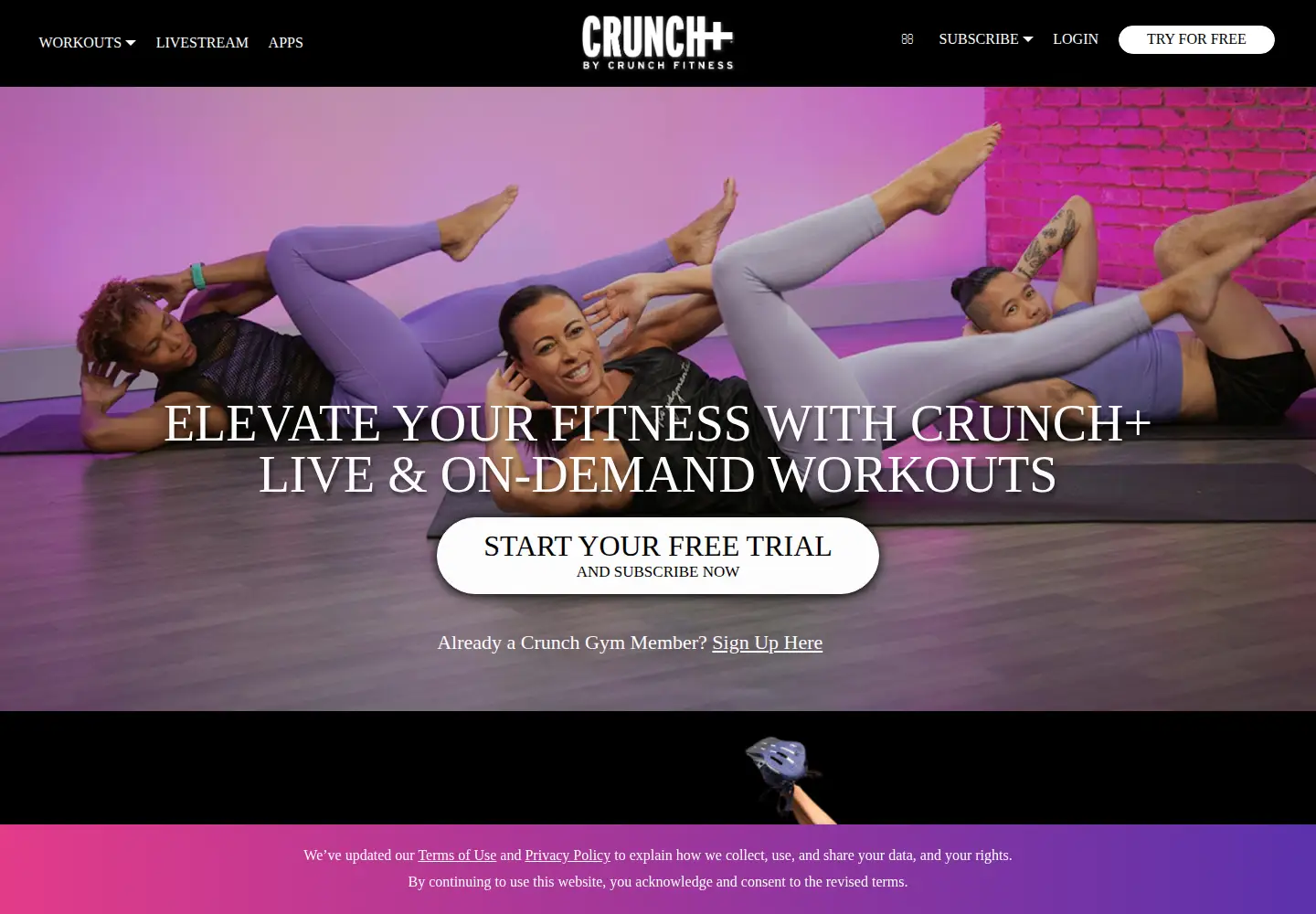 Captured homepage of crunchplus.com in the current scan