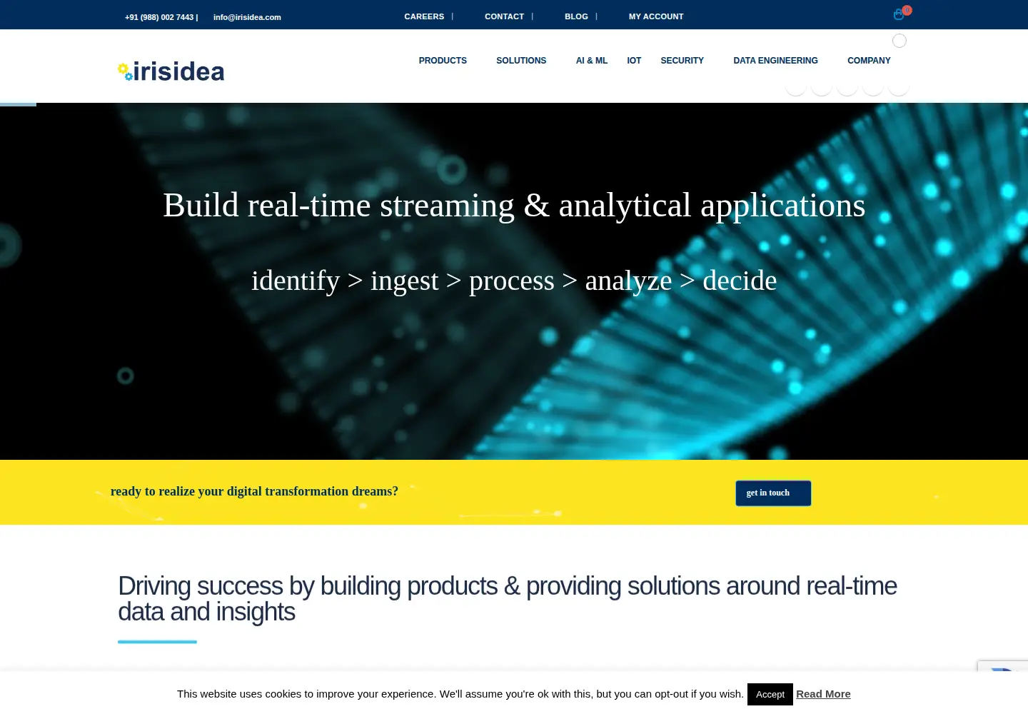 Captured homepage of irisidea.com in the current scan