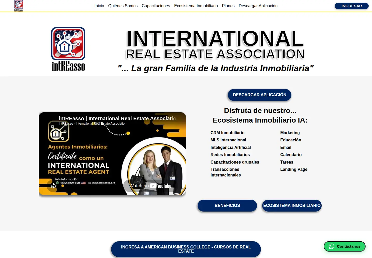 Screenshot of intreasso.org