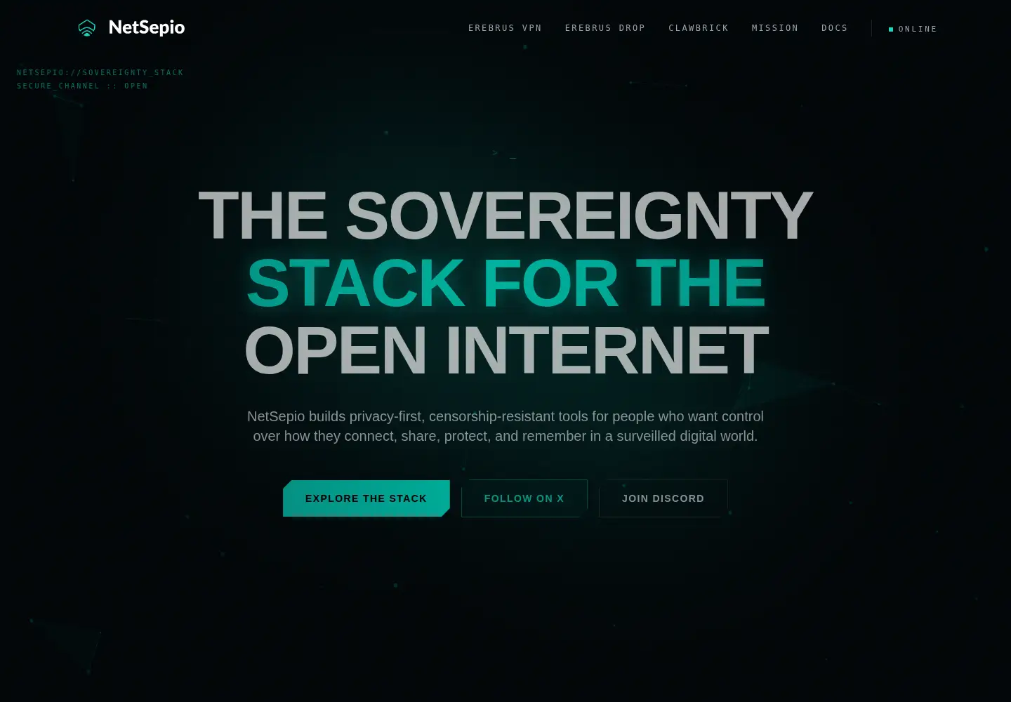 Screenshot of netsepio.com