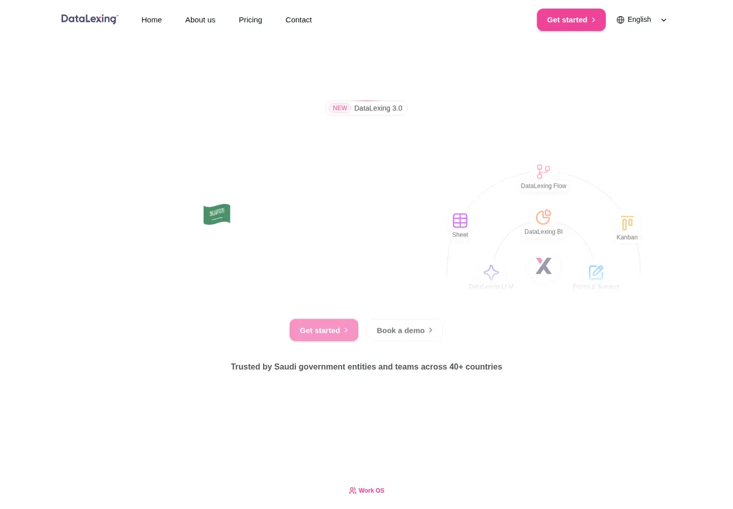 Screenshot of datalexing.com