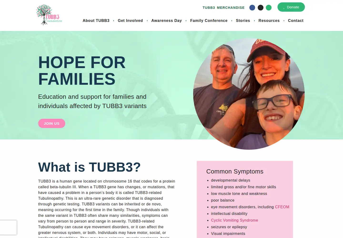 Screenshot of tubb3foundation.org
