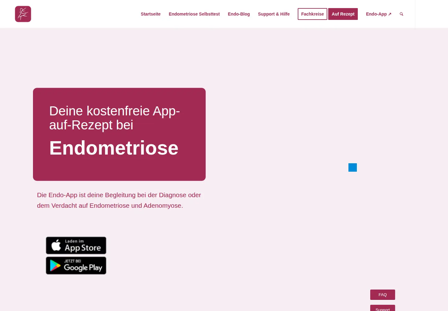 Screenshot of endometriose.app